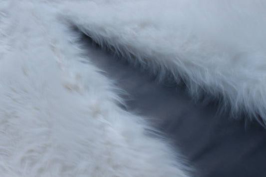 White Fur 1of1 (30x32)
