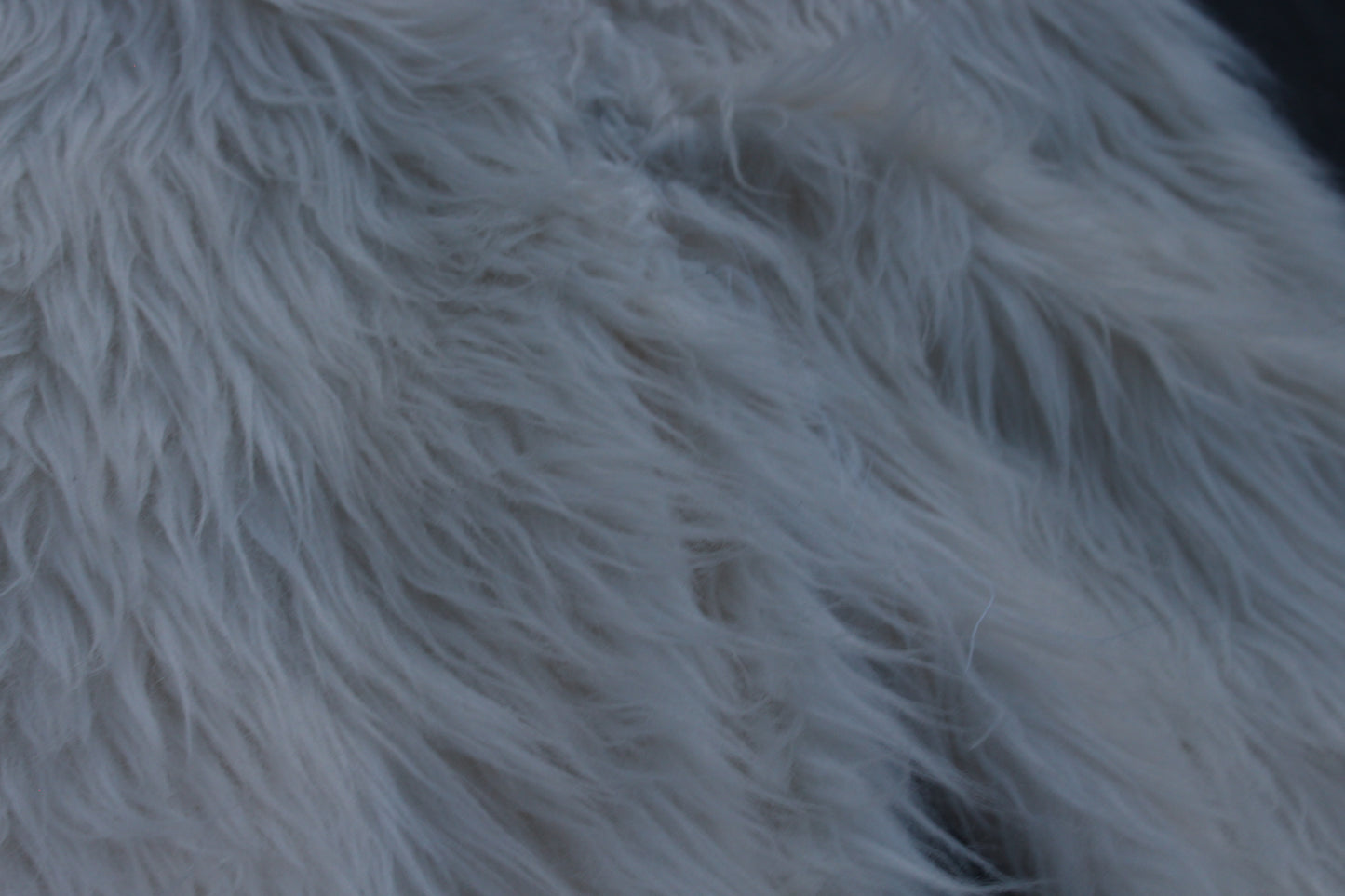 White Fur 1of1 (30x32)