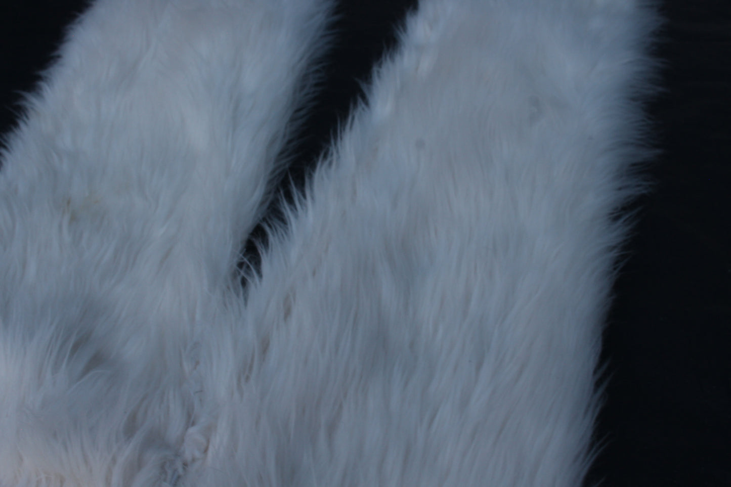 White Fur 1of1 (30x32)