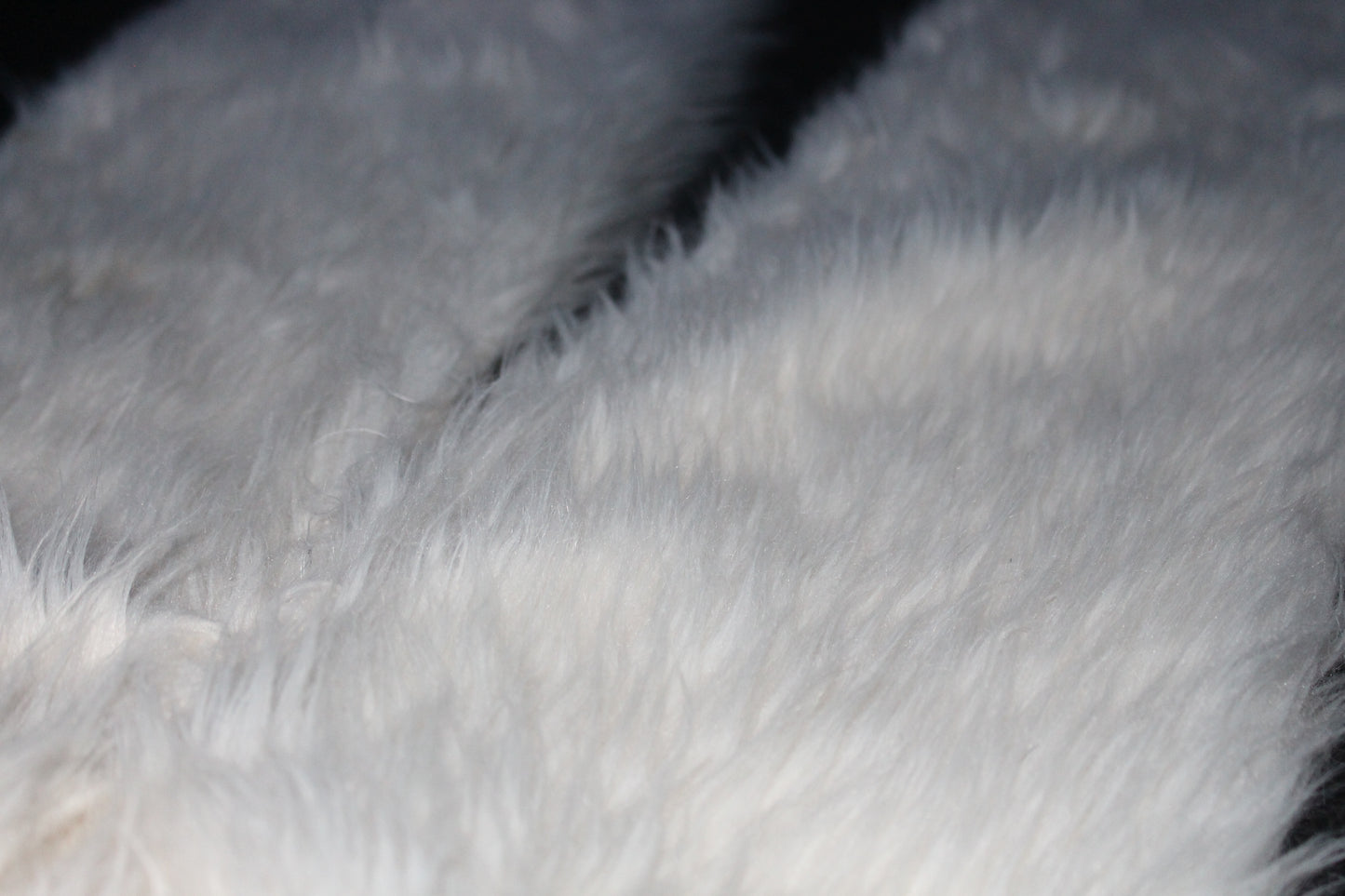 White Fur 1of1 (30x32)