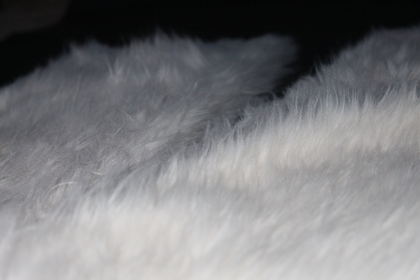 White Fur 1of1 (30x32)
